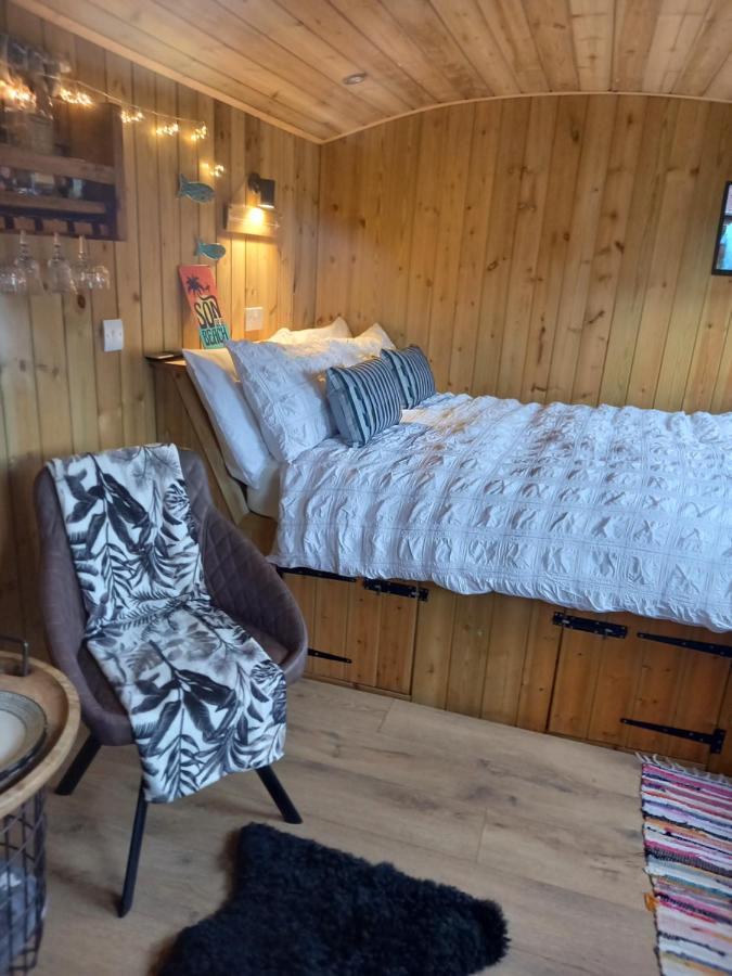 Stargazy Shepherds Hut St Ives Extérieur photo